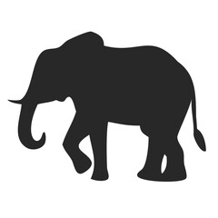 Side view elephant with lifted leg