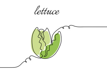 Romaine Lettuce - One Line Drawing