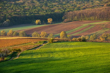 Beautiful rural landscape from the Republic of Moldova. Village life in spring.
