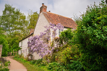 Wisteria Cottage, white washed cottage covered with a beautiful wisteria
