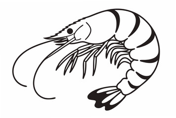 vector illustration of a cartoon shrimp