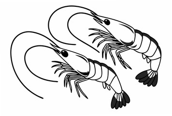 Fototapeta premium vector illustration of a cartoon shrimp