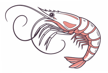 Fototapeta premium shrimp vector illustration