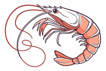 Fototapeta premium shrimp vector illustration