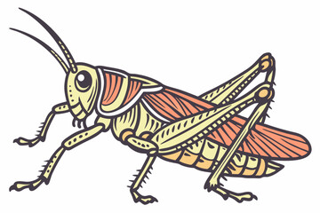grasshopper on a white background