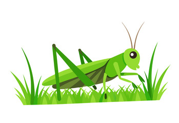 green grasshopper on a leaf