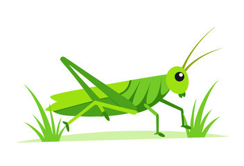 green grasshopper on a white background