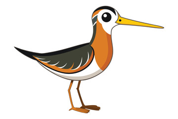 Illustration of Snipe bird isolated on white