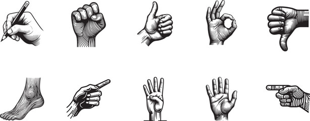 Hand Gestures and Foot Sketch Icons Collection | Adobe Illustrator Artwork