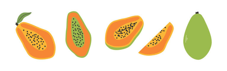 Set of abstract vector papaya. Simple papaya. Organic fruit for juice, smoothie or healthy food. Fruit collection design for interior, poster, banner. Vector
