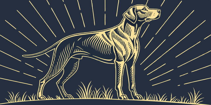 Elegant German Shorthaired Pointer Dog Design for Branding and Logos	