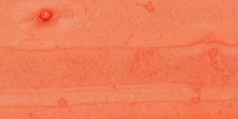 Fototapeta premium Faded Beech Wood Texture, Weathered Dark Red with Natural Patterns