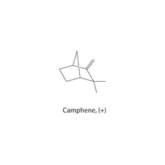 Obraz premium Camphene, (+) skeletal structure. Monoterpene compound schematic illustration. Simple diagram, chemical formula.