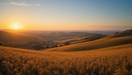 Golden Sunset Over Rolling Hills and Wheat Fields in Tranquil Landscape