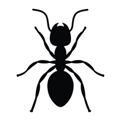 Silhouette of an ant displaying its anatomy and key characteristics clearly