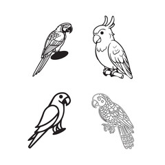 set of birds isolated, set of macaw bird vector illustration.