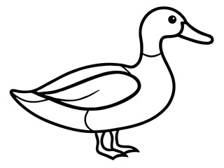 vector illustration line art duck