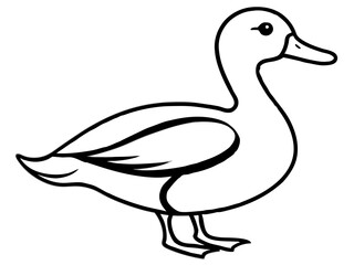 vector illustration line art duck