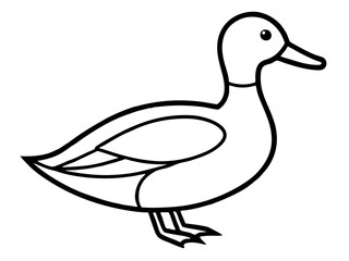 vector illustration line art duck