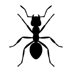 A black silhouette of an ant against a stark white background
