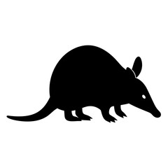 Silhouette of an Armadillo, a nocturnal creature, isolated on a white background