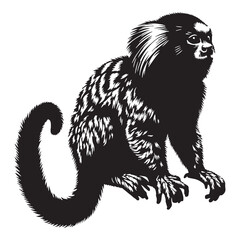Distinctive marmoset silhouette vector with consistent line weight for identity systems – marmoset silhouette – marmoset vector – marmoset illustration – silhouette of marmoset

