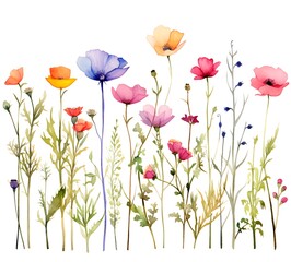 Fototapeta premium Wildflowers Field Illustration – Vibrant Botanical Art 