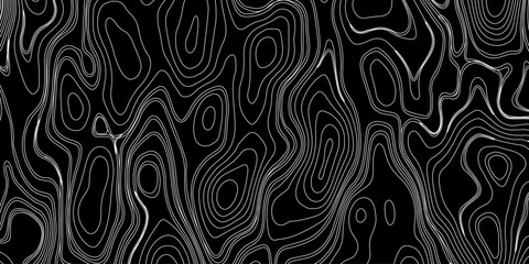 Generate a high-contrast black and white topographic map featuring detailed contour lines. The map should display various elevations using closely spaced, Topography and geography map grid abstract.
