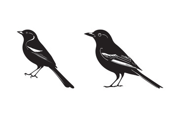 Obraz premium Small Bird Silhouette Vector Art Cute Perching Songbirds for Nature Illustrations and Prints