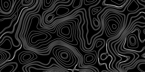 Topography and geography map grid abstract backdrop. Business concept. Fish Fillet Texture, Generate a high-contrast black and white topographic map featuring detailed contour lines. 