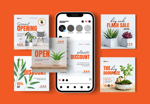 House Plants Social Media Post Design
