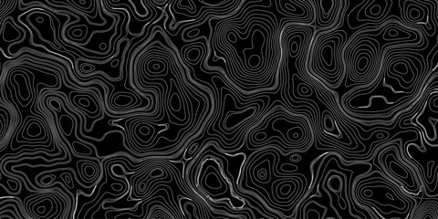 Topography and geography map grid abstract backdrop. Business concept. Fish Fillet Texture, Generate a high-contrast black and white topographic map featuring detailed contour lines. 