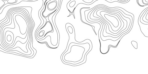 Topography and geography map grid abstract backdrop. Business concept. Fish Fillet Texture, Generate a high-contrast black and white topographic map featuring detailed contour lines. 