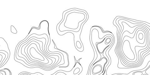 Topography and geography map grid abstract backdrop. Business concept. Fish Fillet Texture, Generate a high-contrast black and white topographic map featuring detailed contour lines. 