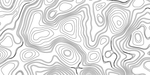 Topography and geography map grid abstract backdrop. Business concept. Fish Fillet Texture, Generate a high-contrast black and white topographic map featuring detailed contour lines. 