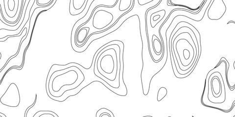 Topography and geography map grid abstract backdrop. Business concept. Fish Fillet Texture, Generate a high-contrast black and white topographic map featuring detailed contour lines. 