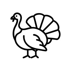 Turkey vector illustration for thanksgiving day autumn holiday bird animal outline drawing icon clip art
