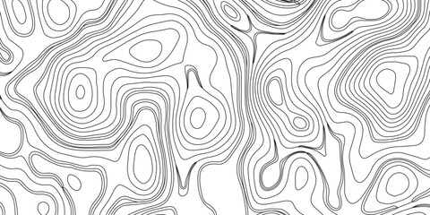 Topography and geography map grid abstract backdrop. Business concept. Fish Fillet Texture, Generate a high-contrast black and white topographic map featuring detailed contour lines. 