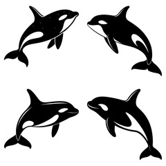 Fototapeta premium Killer Whale Silhouette vector