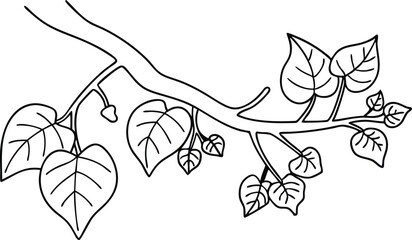 Branch With Heart Shaped Leaves Monochrome Botanical Illustration For Coloring And Design
