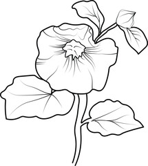 Hollyhock flower art, vector illustration of a fron view of aHollyhock flower in hand-drawn botanical summer elements natural collection, Hollyhock line art for coloring page, Hollyhock flower outline