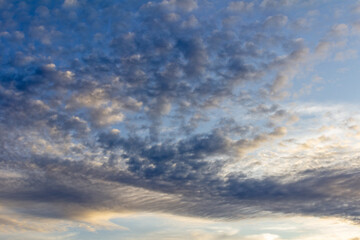 Fluffy Altocumulus Cloud Formations in Bright Sky