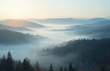 Naklejka premium Morning fog over hills. Trees covered in mist create magical landscape. Peaceful natural view. Perfect for travel, eco tourism, relaxation, meditation, environment protection projects.