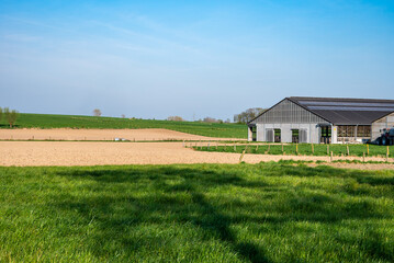 Obraz premium Colorful farmland at the Flemish countrysyde in Hollebeke, Ieper, West Flanders, Belgium