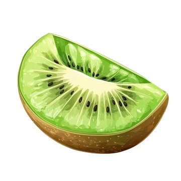 recommend clip art: kiwi fruit slice Isolated on white transparent background