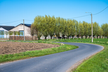 Asphalt road bending through agriculture fields at the Flemish countryside in Vlamertinge, Ieper,...
