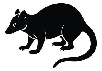 Possum Silhouette  isolated on white background