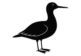 Seabird Silhouette  isolated on white background