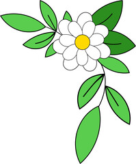vector illustration of a flower with foliage, flower with leaves, daisy illustration 