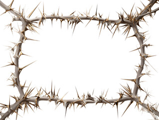 Obraz premium spines and thorns frame vector png